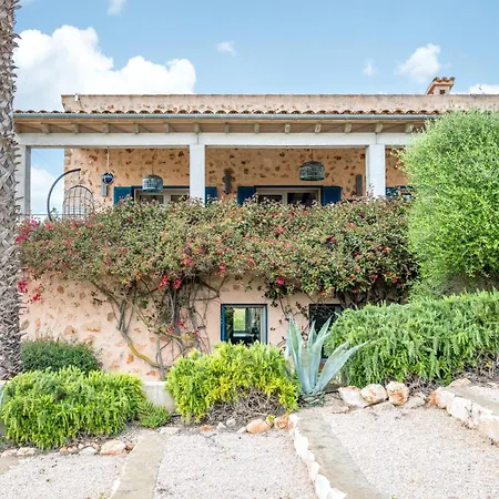Desigual Holiday home Manacor (Mallorca)