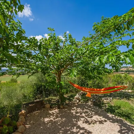 Nyaraló Desigual